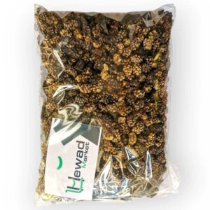 Natural Dried Berries from Afghanistan
